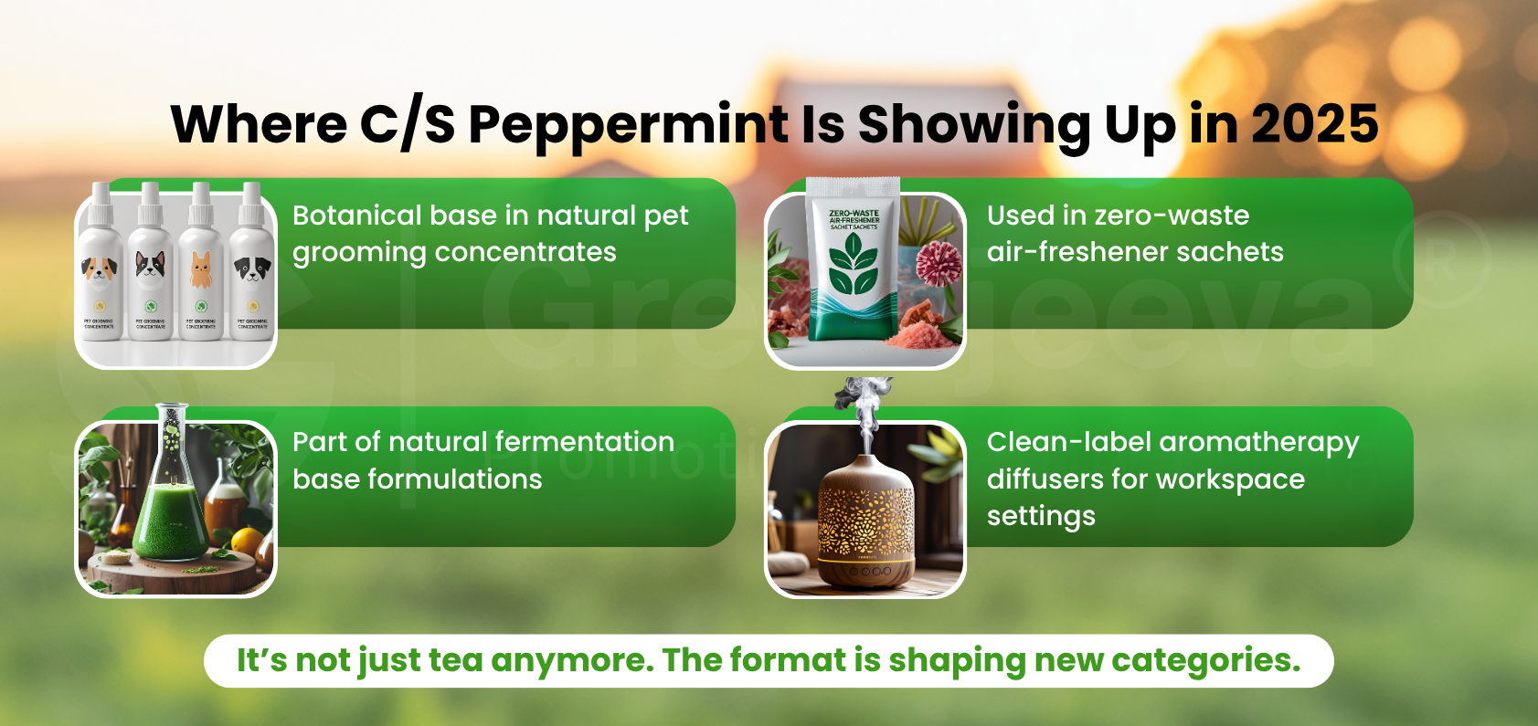 C/S peppermint botanical from 2025, highlighting advantages like quality control and reduced product loss during sieving.