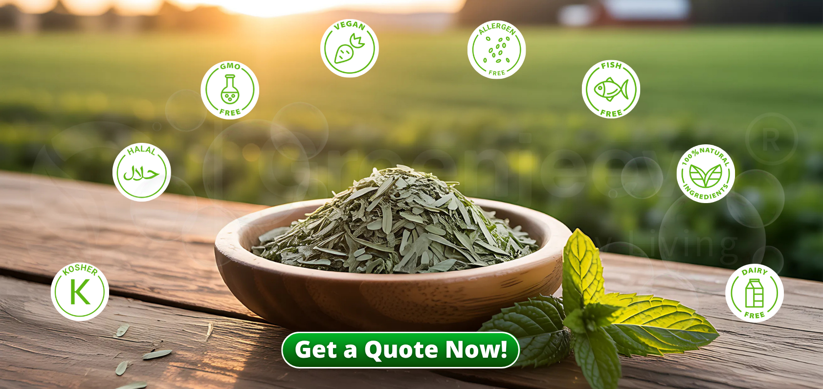 Kosher certified organic peppermint herbs by Green Jeeva, ideal for clean-label food and personal care manufacturing.