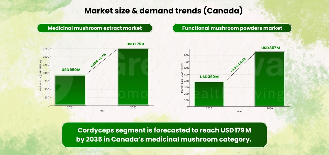 Graph comparing Canadian medicinal mushroom extract and functional mushroom powder markets, highlighting growth forecasts for 2030 and 2035.