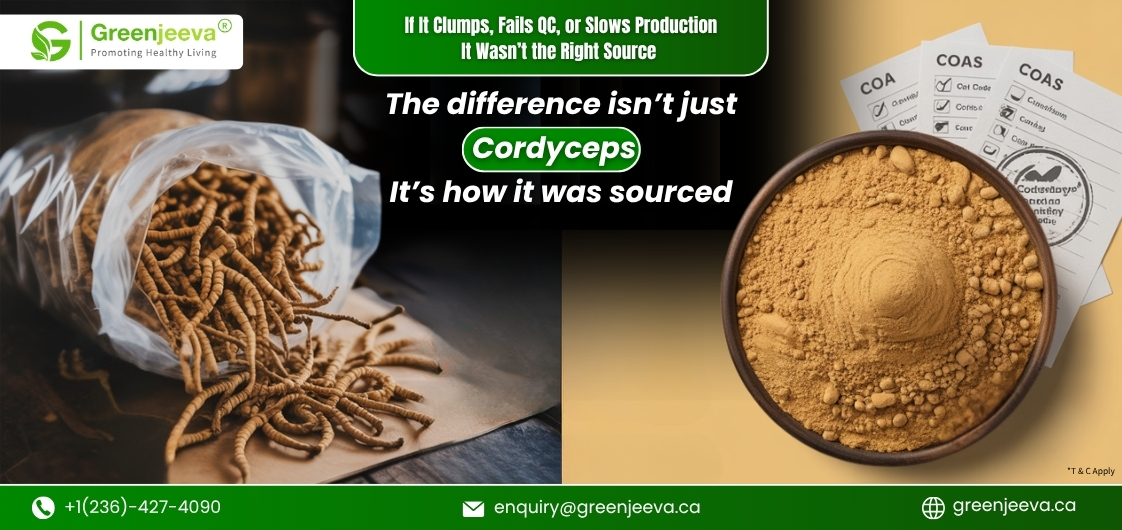 A bag of Cordyceps mushrooms next to a bowl of powdered Cordyceps and accompanying quality control documents.