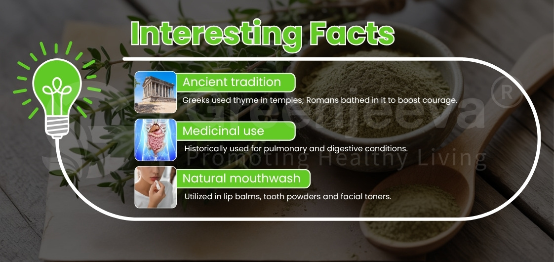 Facts about thyme's historical and medicinal uses