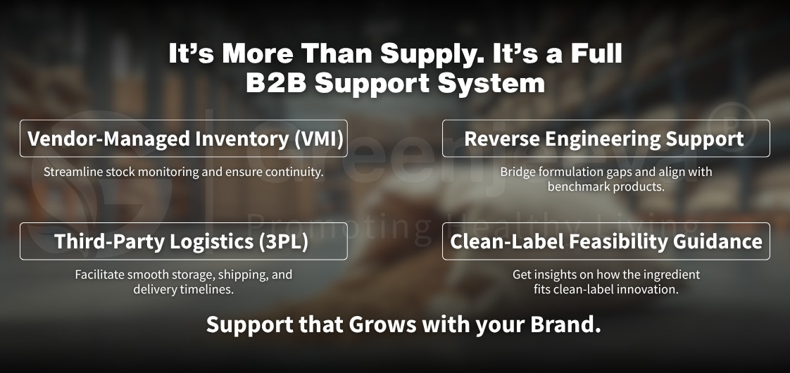 B2B support services: Vendor-Managed Inventory, Third-Party Logistics, Reverse Engineering, and Clean-Label Guidance.