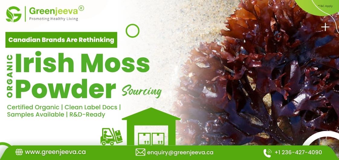 Organic Irish Moss Powder infographic highlighting USDA Organic, Non-GMO, and Kosher certifications for clean-label compliance in Canada.