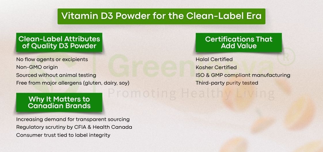 Vitamin D3 Powder packaged for wholesale nutraceutical use in Canada, available in high volumes through Green Jeeva’s trusted B2B supply chain.