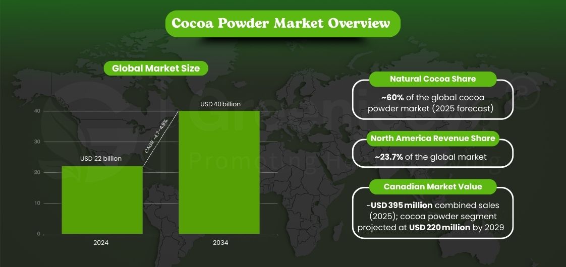 cocoa powder market global size, trends, and regional