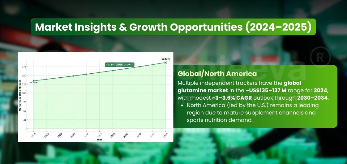 Market insights on global and North America L Glutamine Powder industry, valued at around US$135–137 million in 2024 with projected CAGR of 3–3.6% through 2030–2034, showing North America as a leading region driven by sports nutrition demand.