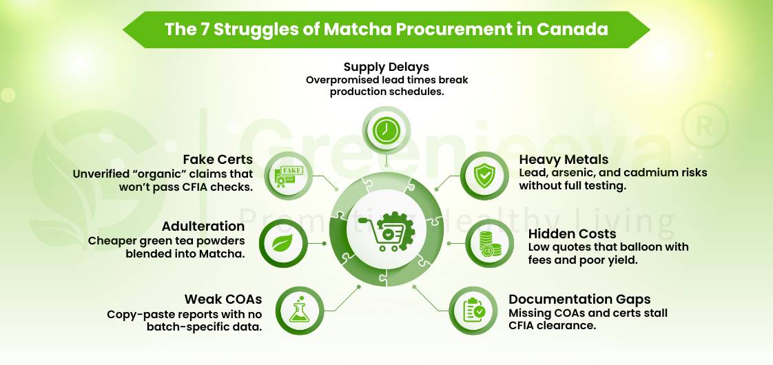 Infographic highlighting seven challenges in matcha procurement in Canada, including supply delays, fake certifications, and heavy metals.