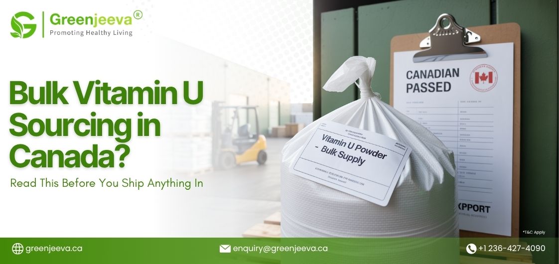 High-quality Vitamin U powder packaged for B2B bulk supply in Canada