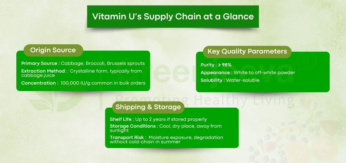 Sourcing Vitamin U Powder in Bulk? Avoid These Mistakes Canadian CMOs See Daily