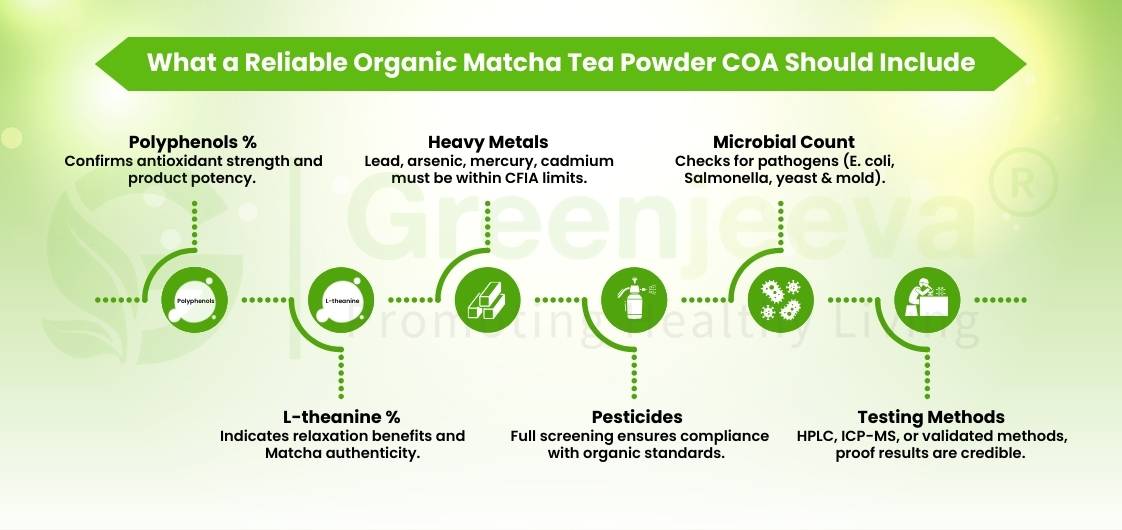 Overview of recommended organic matcha powders highlighting quality and health benefits.