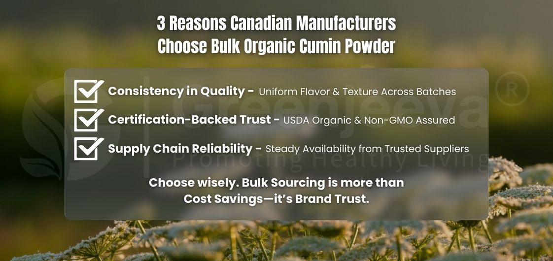 3 Reasons Canadian Manufacturers Choose Bulk Organic Cumin Powder