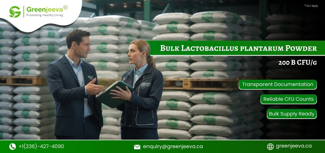 Two professionals discuss bulk Lactobacillus plantarum powder amid stacked bags in a warehouse setting.
