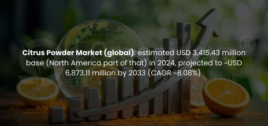 Infographic showing global citrus powder market growth: estimated $3.42 billion in 2024, projected to $6.87 billion by 2033.