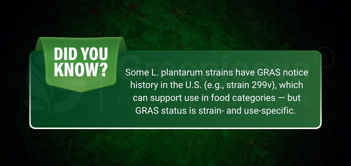 Text on a green background states facts about L. plantarum strains and their GRAS status in food categories, highlighting strain specificity.