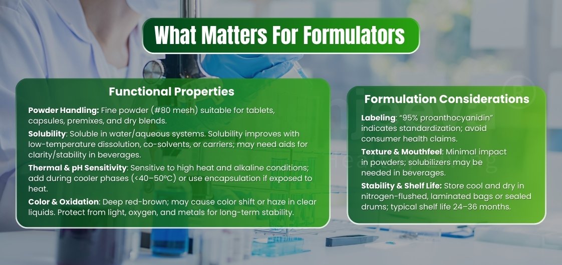 Infographic outlining key functional properties and formulation considerations for manufacturers, focusing on powder handling, solubility, and stability.