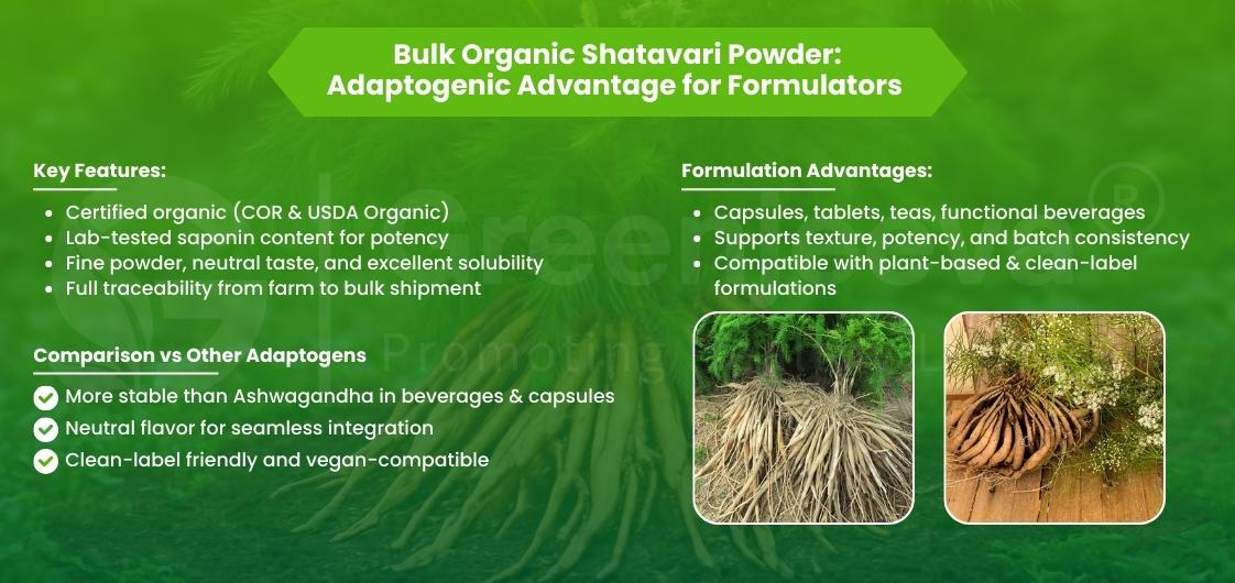 Bulk Organic Shatavari Powder benefits include certified organic quality, lab-tested potency, and versatility for various formulations.