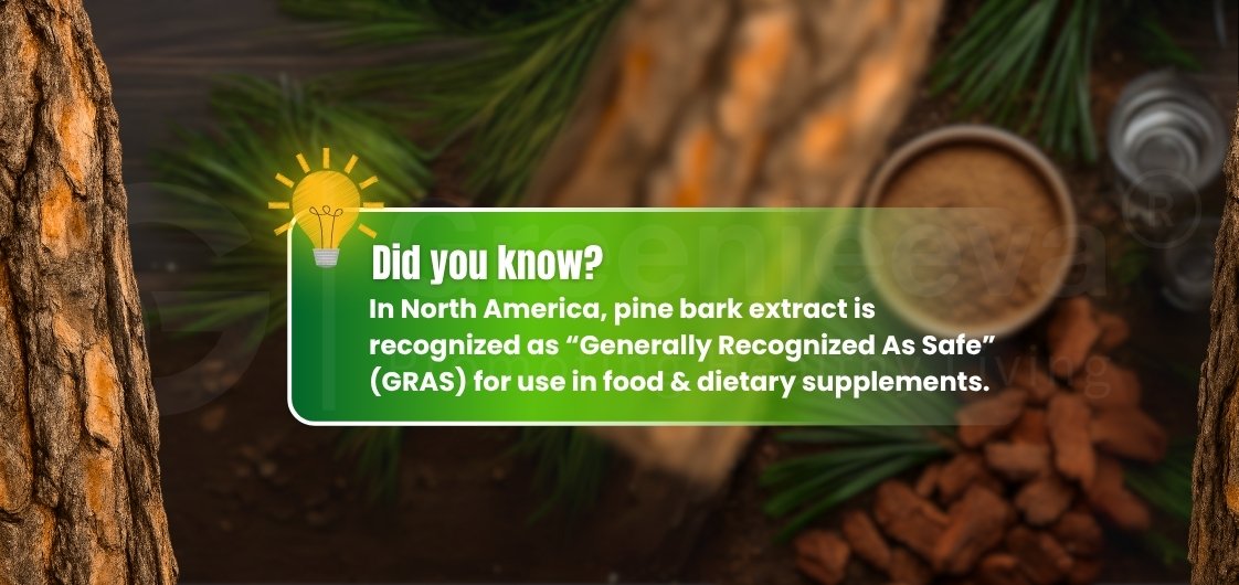 Pine bark extract is highlighted as "Generally Recognized As Safe" (GRAS) for food and dietary supplements in North America.