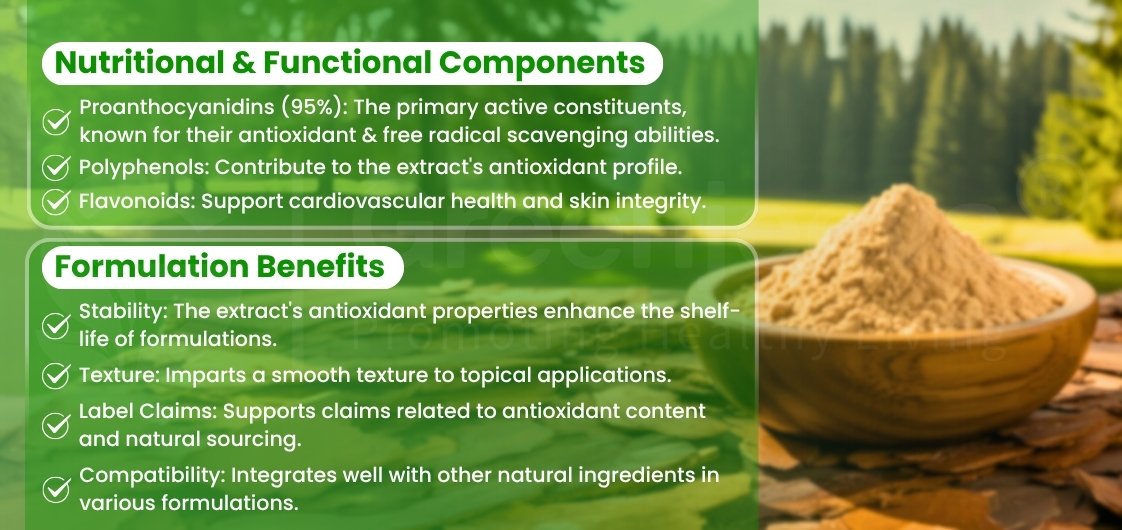 Infographic outlining the nutritional components and formulation benefits of a natural extract, with visuals of a bowl of powder and nature background.