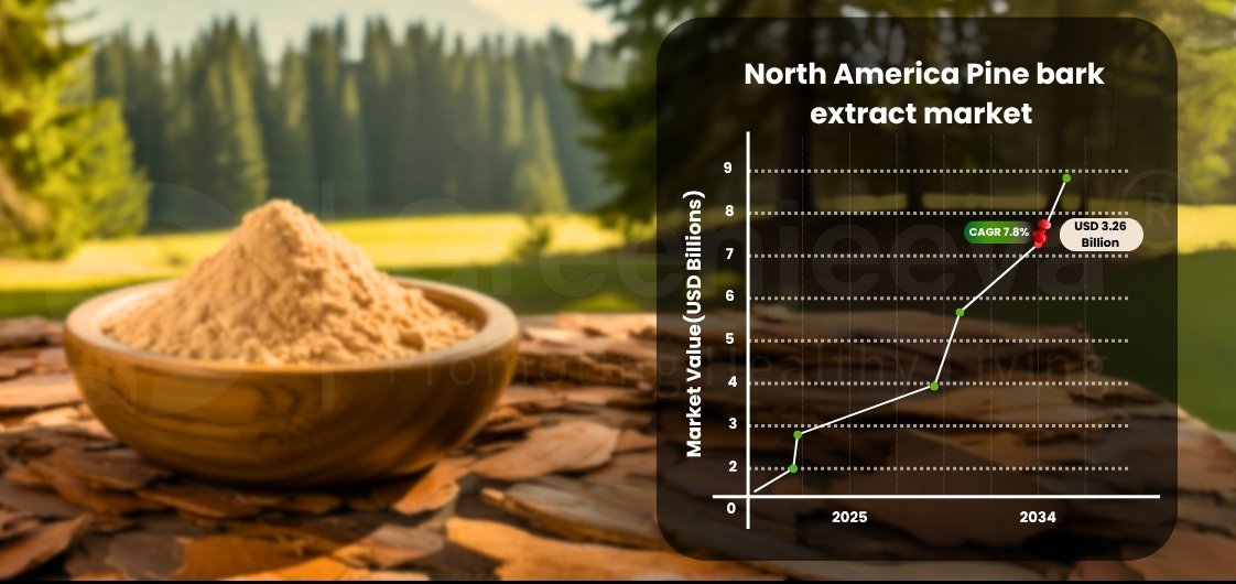 A bowl of pine bark powder on a wooden surface with a growth chart displaying the projected North America pine bark extract market value.