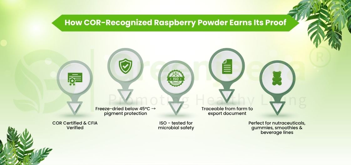 Infographic detailing the certification and benefits of COR-recognized raspberry powder, highlighting safety and versatility in products.