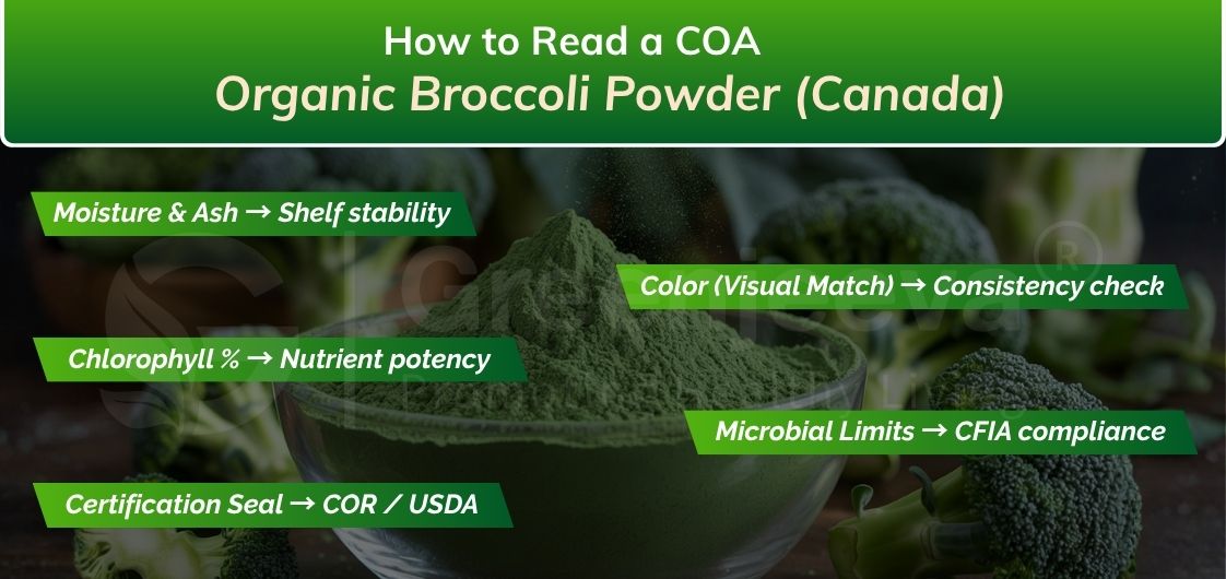 How to Read a COA Organic Broccoli Powder (Canada)