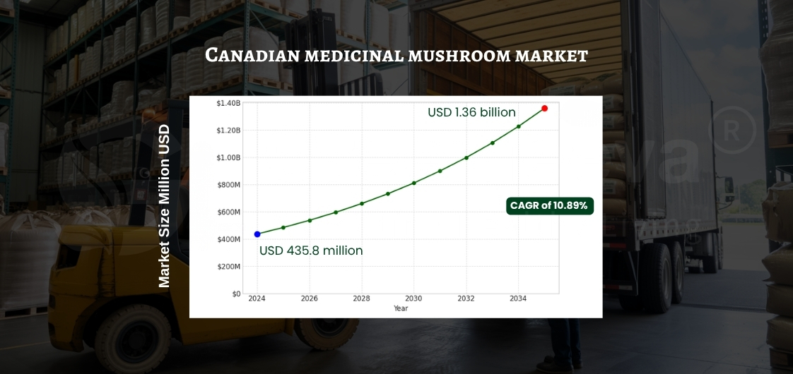 Graph showing the growth of the Canadian medicinal mushroom market from USD 435.8 million in 2024 to USD 1.36 billion by 2034.