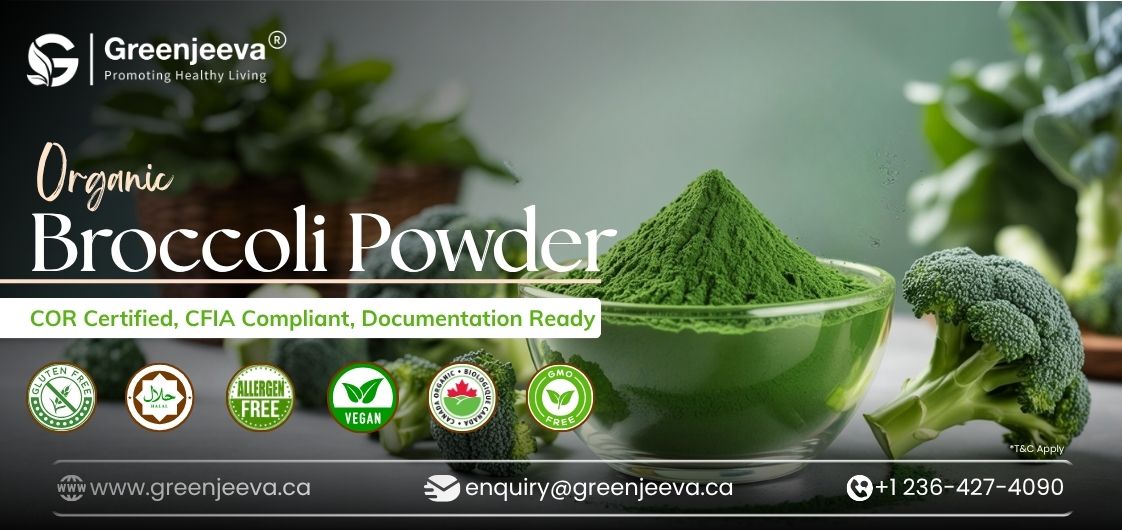Bulk Organic Broccoli Powder in Canada: 6 Sourcing Checks Every Buyer Should Know