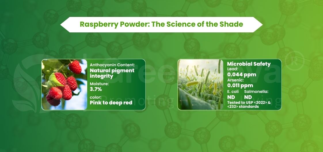 Infographic on raspberry powder featuring anthocyanin content, moisture levels, color range, and microbial safety details.