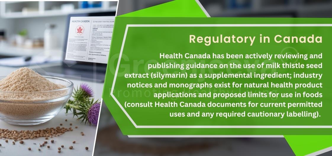 A bowl of milk thistle seed extract sits on a desk with a Health Canada guidance document in the background, discussing regulatory uses.