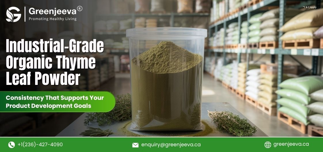 What Should Procurement Managers Look for When Sourcing Organic Thyme Leaf Powder