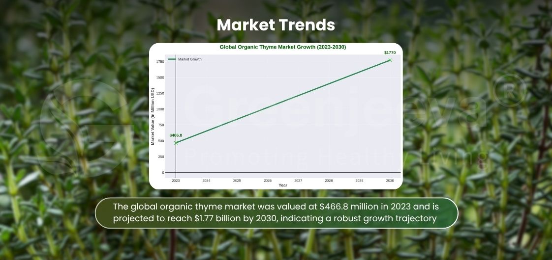 Graph depicting organic thyme market growth, projected from $466.8 million in 2023 to $1.77 billion by 2030.