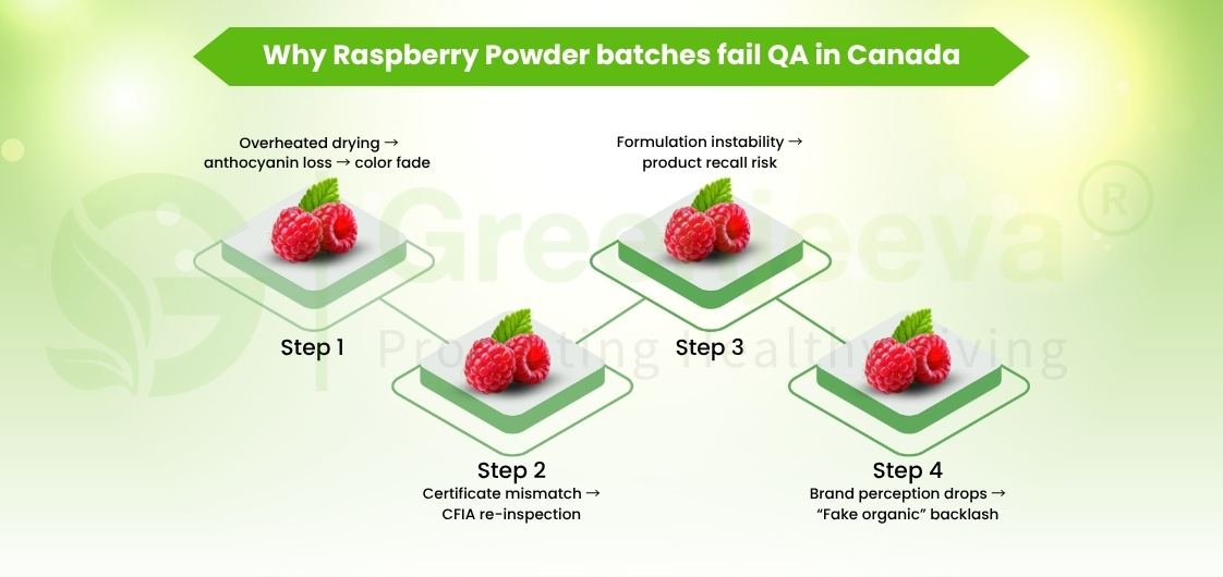 Infographic outlining reasons why raspberry powder batches fail quality assurance in Canada, highlighting drying and certification issues.