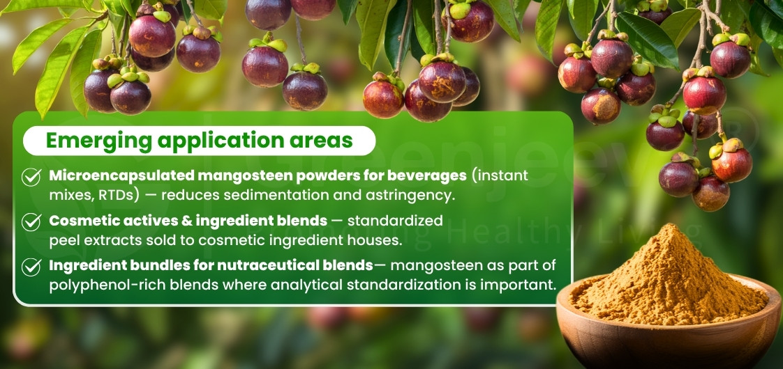 A bowl of mangosteen powder surrounded by fresh mangosteen fruit, showcasing emerging applications in beverages and cosmetics.