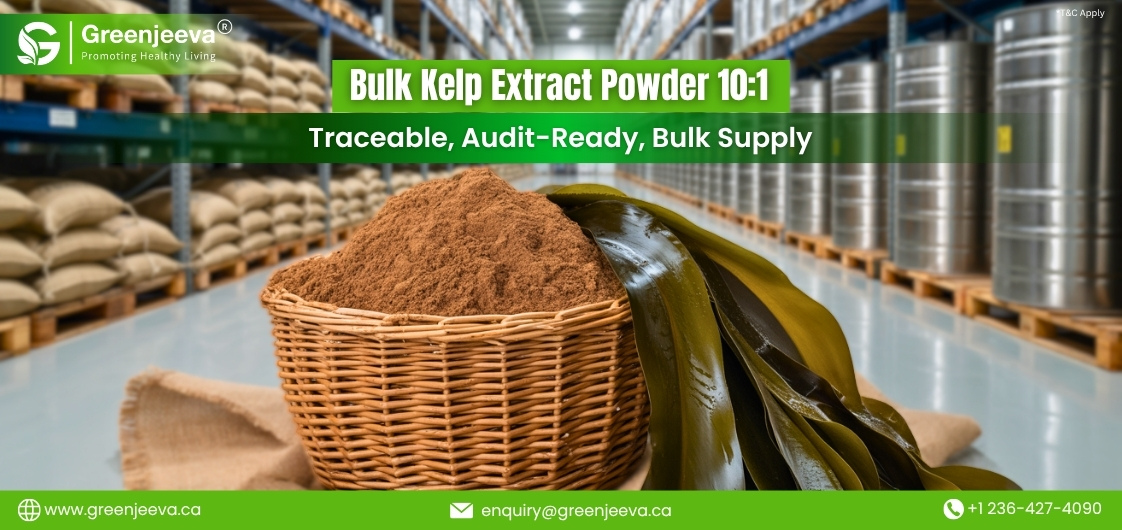Is Switching to Kelp Extract Powder 10:1 a Cost Advantage for Large-Scale Manufacturing?