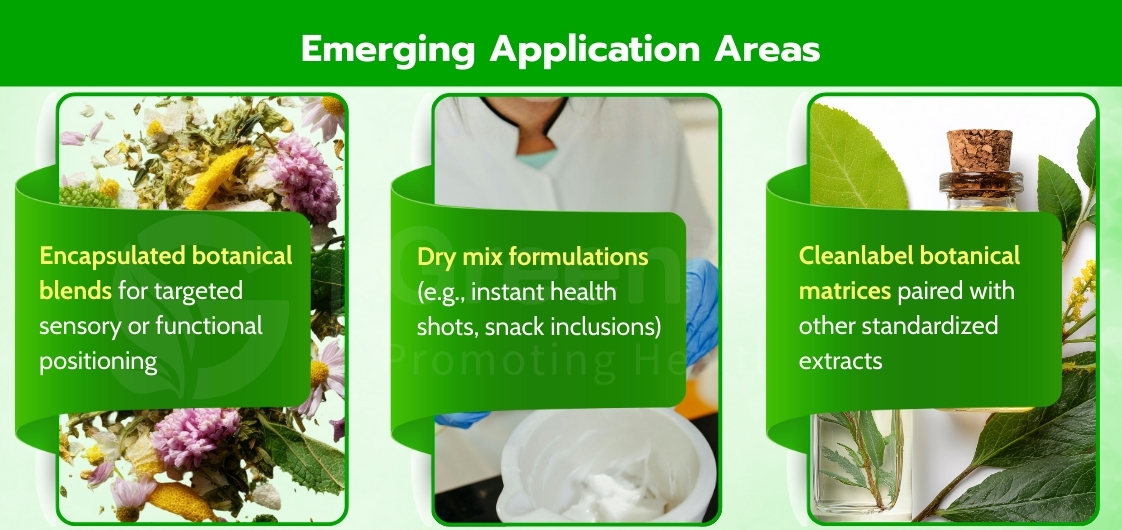 Emerging application areas of Ginger Extract Powder 5% gingerol across nutraceuticals, dry mixes, and clean-label formulations