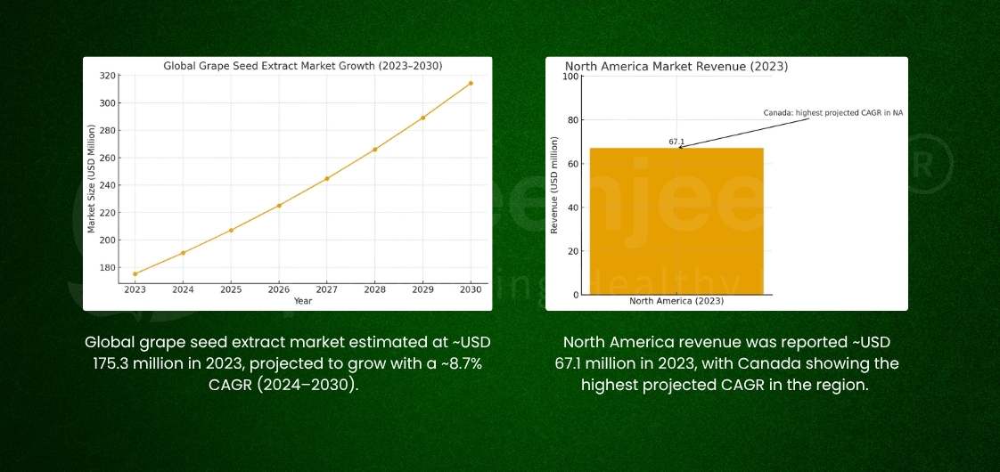 Graphs depict global grape seed extract market growth and North America revenue in 2023, highlighting significant projected growth.