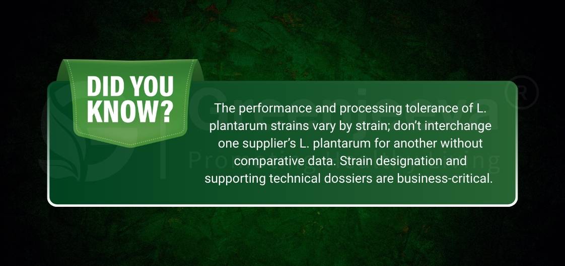 Text on a green background highlights the variability of L. plantarum strains and the importance of strain designation for business.