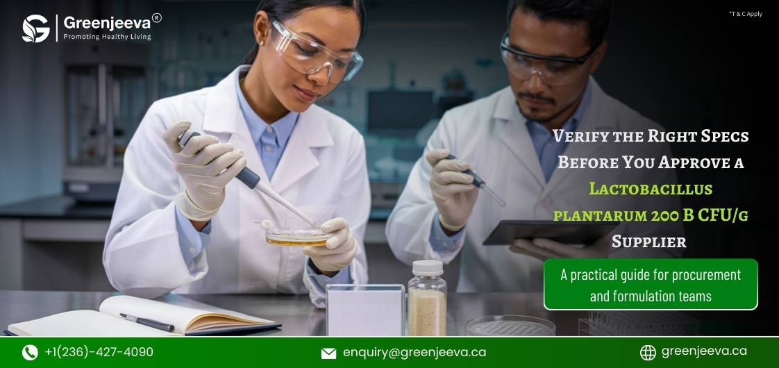 What Should Buyers Verify Before Approving a Lactobacillus plantarum Powder 200 B CFU/g Supplier
