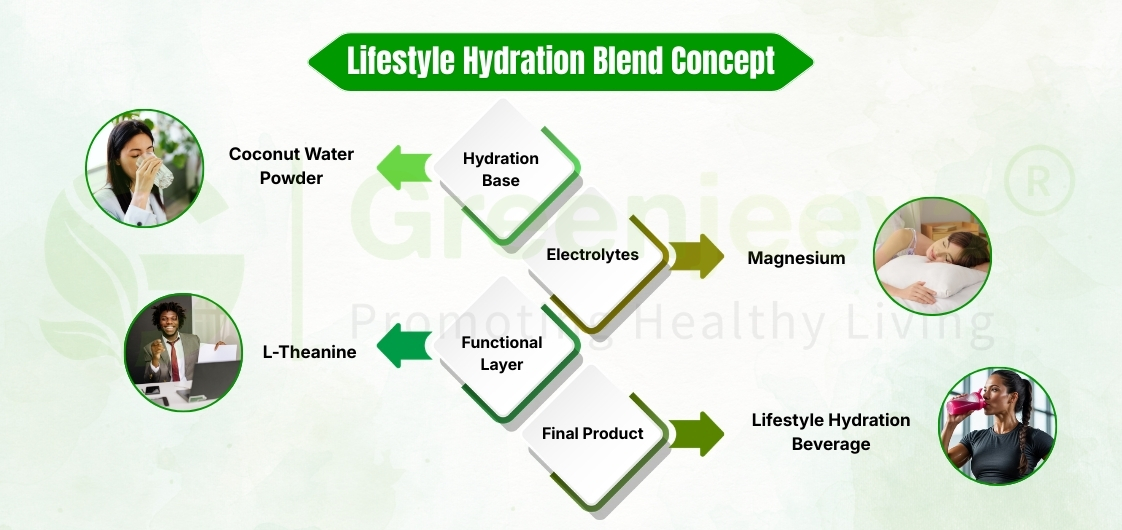 Diagram showing the Lifestyle Hydration Blend Concept with Coconut Water Powder, L-Theanine, Electrolytes, and Magnesium forming a hydration beverage.